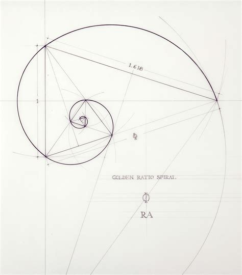 An artist masterfully illustrates the golden ratio, by hand - Aleph