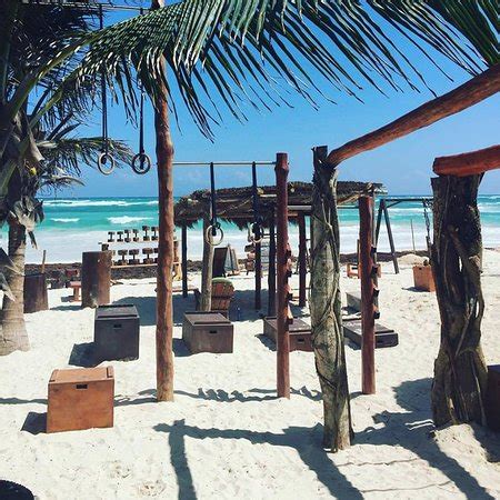 Tulum Jungle Gym - All You Need to Know Before You Go (with Photos) - TripAdvisor