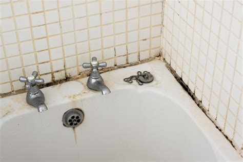 6 Bathroom Renovation Mistakes Making Your Cold Bathroom Moldy | Storables