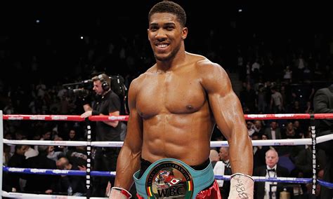 Anthony Joshua breaks silence on Wladimir Klitschko's retirement - Daily Post Nigeria