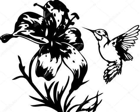 Hummingbird And Flower Drawing at GetDrawings | Free download