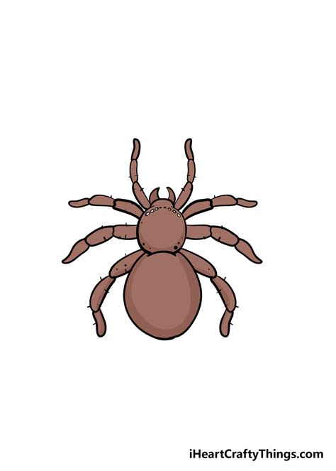 Spider Drawings For Kids