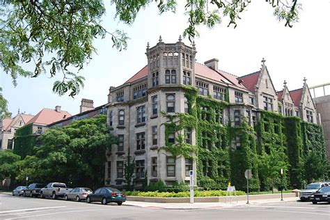 University of chicago niche