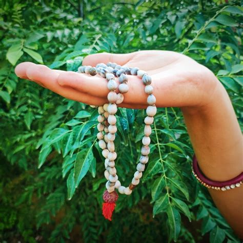 Vaijanti Mala / Vaijayanti Mala Original for Pooja and Wearing for Men ...