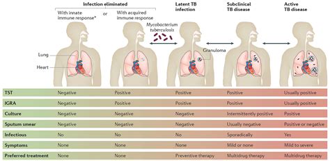 The Spectrum of Tuberculosis and Why It Matters | Microbiology Community