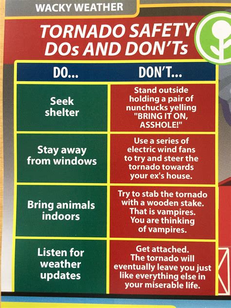 Tornado Safety: DOs and DON'Ts : r/funny