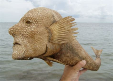 Weird Taxidermy Saturday- Humanoid Sea Monster — The World of Kitsch