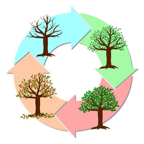 Roční Období Rok Strom · Vektorová grafika zdarma na Pixabay