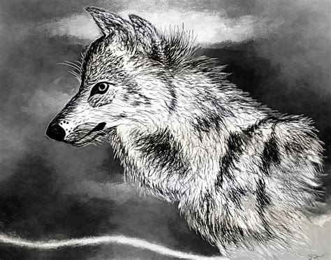 Alpha Wolf Drawing by Abstract Angel Artist Stephen K | Fine Art America