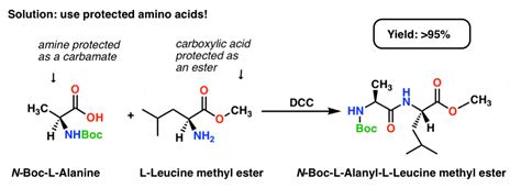 Amino Acid - Home Remedico