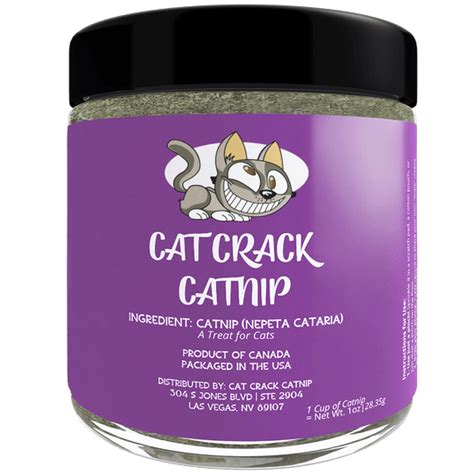 Ultimate Guide To Hosting A Catnip Party – Cat Crack Catnip