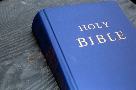 Bible Curriculum for Homeschoolers