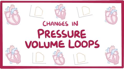 Changes in pressure-volume loops: Video & Anatomy | Osmosis