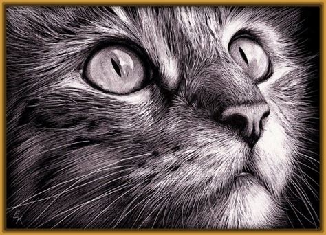 Imagenes de dibujos de gatos a lapiz 1 | Arte con cuadernos de bocetos, Dibujos de gatos, Cara ...