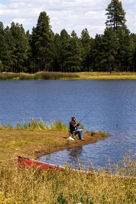 Kaibab National Forest - Fishing