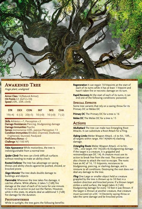 Awakened Tree | Dnd Dragons