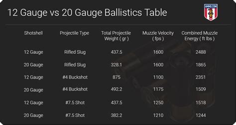 12 Gauge vs 20 Gauge: The Shotgun Shootout | The Daily Bell