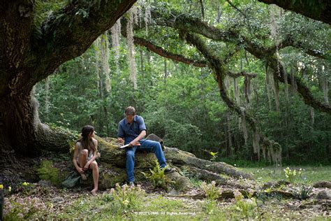 Film review: Discordant adaptation of ‘Where the Crawdads Sing’ waters down important themes ...