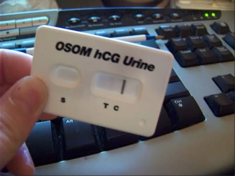 How To Read OSOM Pregnancy Test?