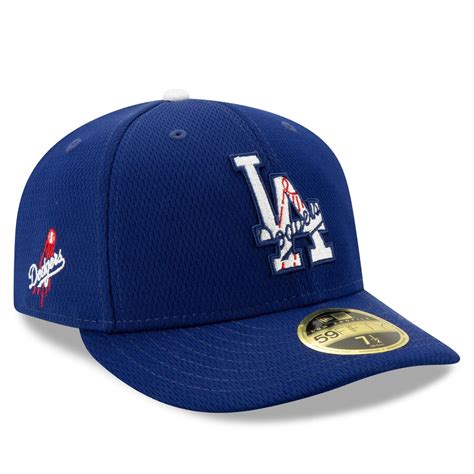 Dodgers Blue Heaven: 2020 Dodger Spring Training Info - Facility ...