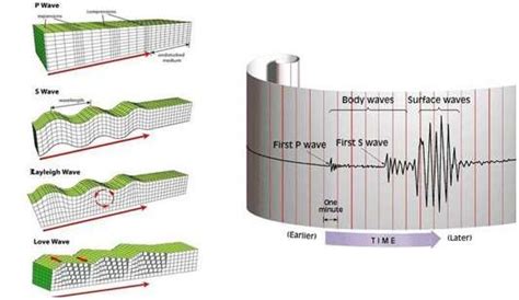 , The types of seismic waves are shown in the (left part), Phantom ...