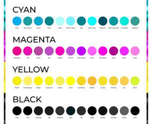 Cyan magenta yellow and black cmyk color shades Vector Image