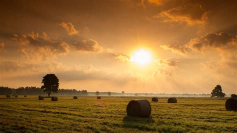 Sunset field hay nature landscape wallpaper | 2560x1440 | 50220 ...