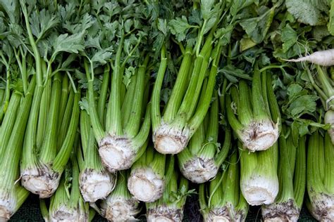 Celery | Stalks of celery at the Torrance Farmer's Market. | clayirving ...