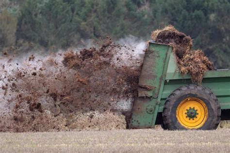 How to Prepare the Soil for Organic Farming: Methods, Tips, Techniques, and A Step-by-Step Guide ...