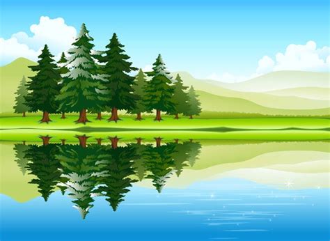 Forest landscapes vector illustrations