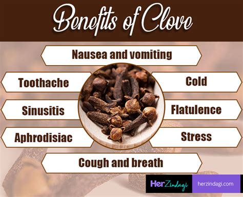 Eating Cloves Can Do Wonders For Your Health, Know How | HerZindagi