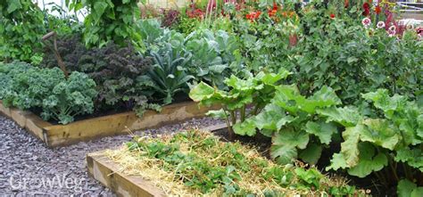 5 Tips for Planning Your Vegetable Garden