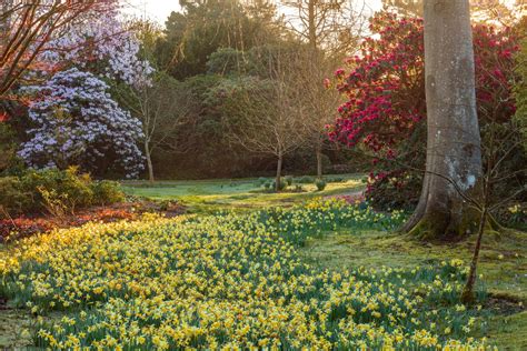 The best country house gardens in Britain; Gardening tips