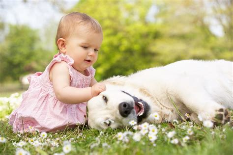 5 Benefits Caring For Pets Offer Young Children - Spanish for fun! Daycare / Preschool