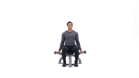 Seated dumbbell biceps curl | Exercise Videos & Guides | Bodybuilding.com