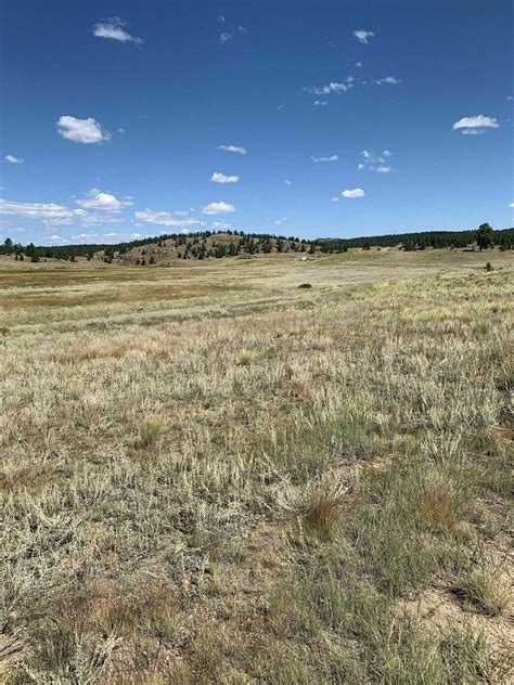 Petrified Forest Loop and Ponderosa Loop Trails - Colorado | AllTrails