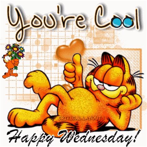 happy wednesday gif funny