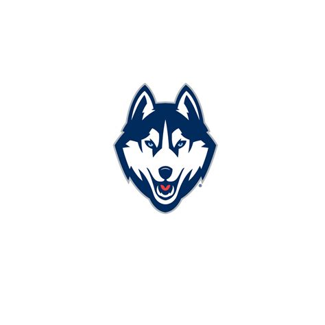 Uconn Huskies Logo Download - ClipArt Best