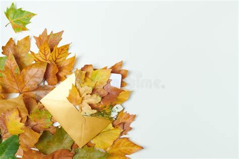 Fall Newsletter Background Stock Photos - Free & Royalty-Free Stock ...