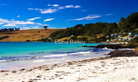 "Boat Harbour Beach, Tasmania" by Elana Bailey | Redbubble