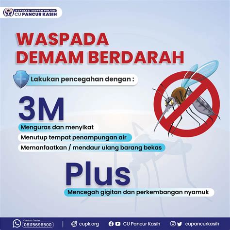 Kenali Gejala Dan Pencegahan Demam Berdarah Dengue - vrogue.co