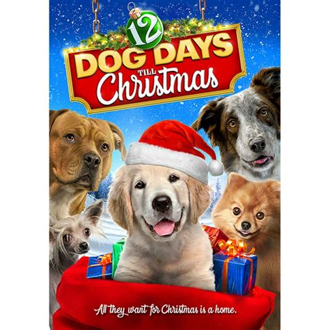 12 Dog Days Till Christmas (DVD) - Walmart.com - Walmart.com