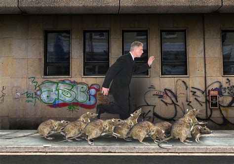 Consent Decree settles meat warehouse mess, but not New York City's big rat problem | Food ...