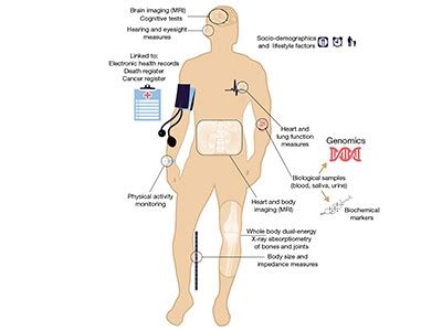 UK Biobank shares the promise of big data