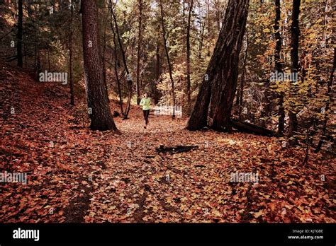 Trail running in the fall Stock Photo - Alamy