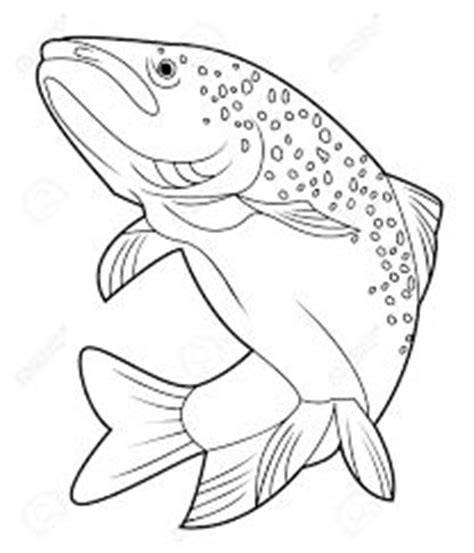 The best free Trout drawing images. Download from 314 free drawings of Trout at GetDrawings