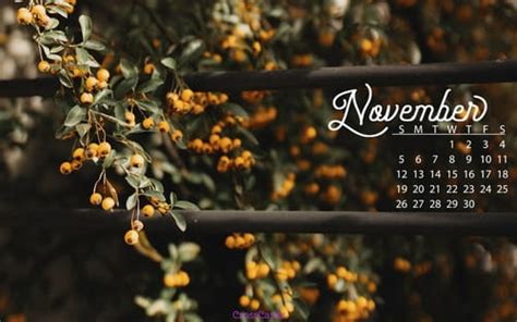 November 2017 - Fall Berries Desktop Calendar- Free November Wallpaper