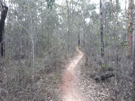 Best Mountain Biking Trails in Blue Mountains National Park | AllTrails