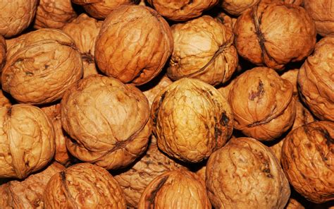 Free Images : food, produce, natural, brown, nut, healthy, snack, delicious, shell, walnut ...