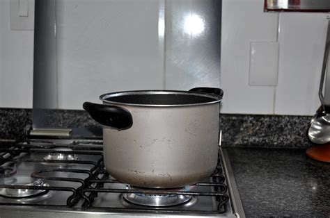 Gas Vs. Electric Stoves: Which Is Best For Your Cooking Needs? - Homestyling Guru